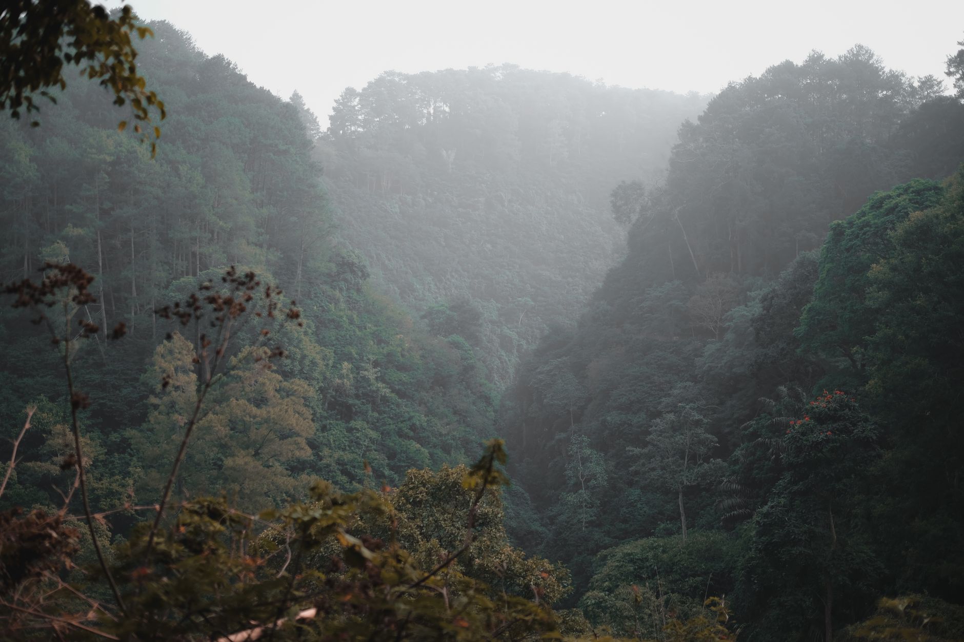 Menjelajahi Keagungan Curug Cimahi Bandung: Air Terjun Pelangi di Lembang
