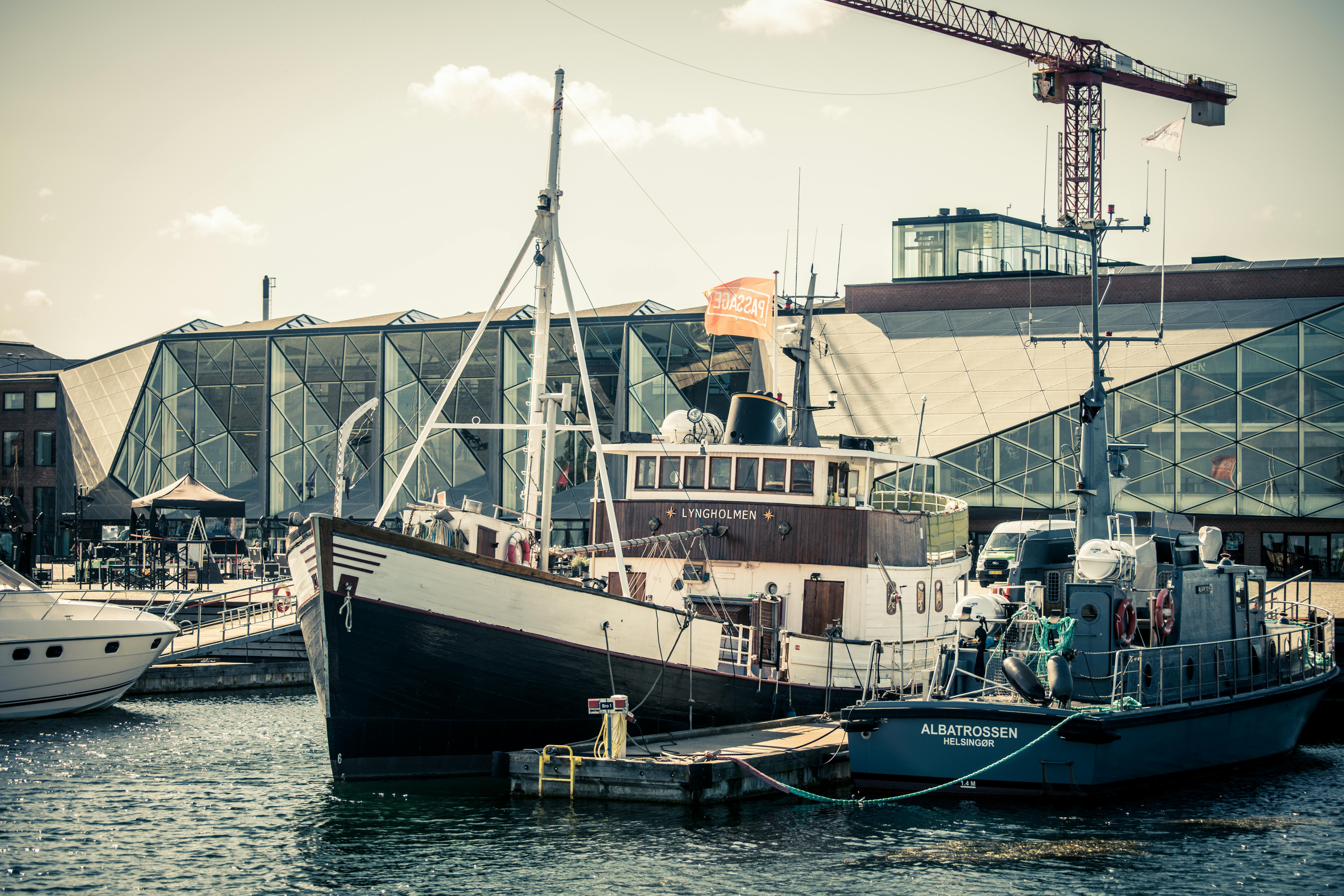 The Albatross: How Edison's Electric Lights Revolutionized Deep-Sea Discovery - Visual 1