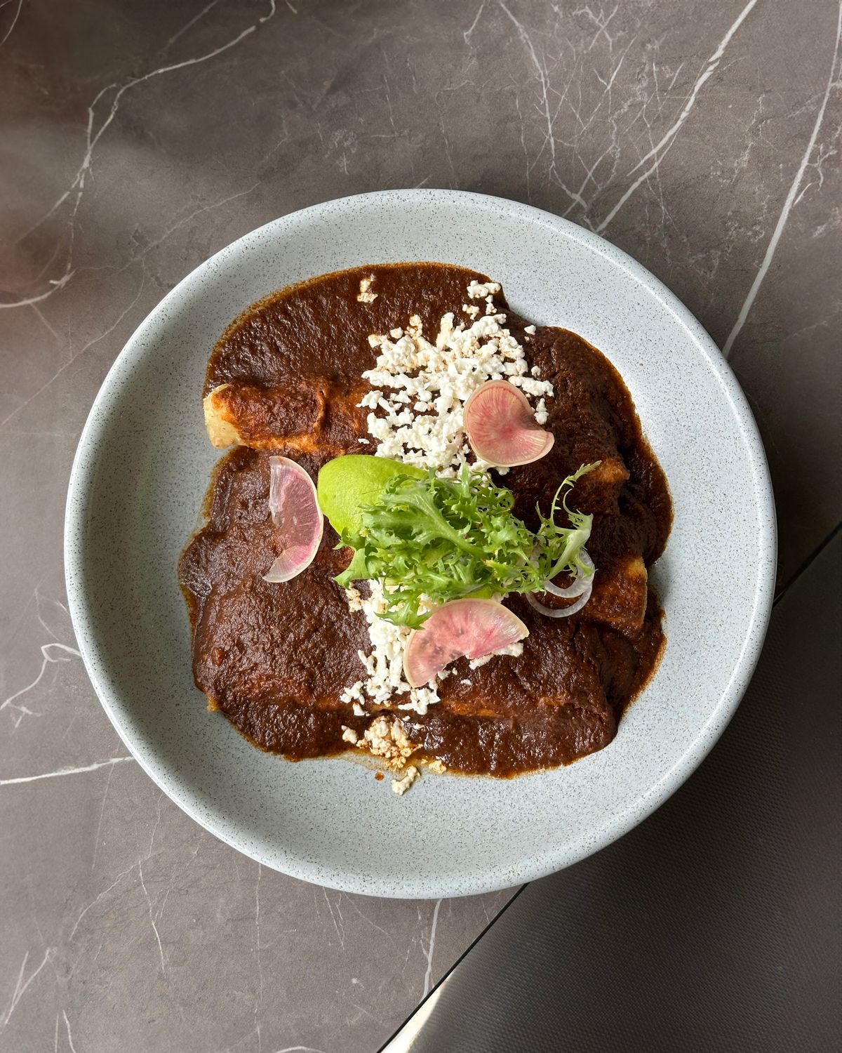A delectable dish of enchiladas topped with rich mole sauce and fresh garnish on a plate.