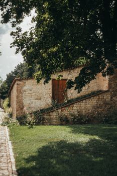 A rustic stone wall and brown wooden door surrounded by greenery in Prague.