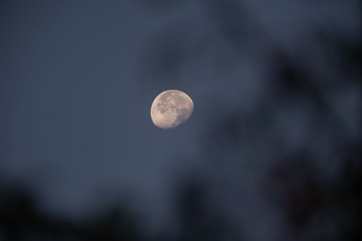 A serene photograph of the moon in a night sky with blurred surroundings, taken in İzmir, Turkey.