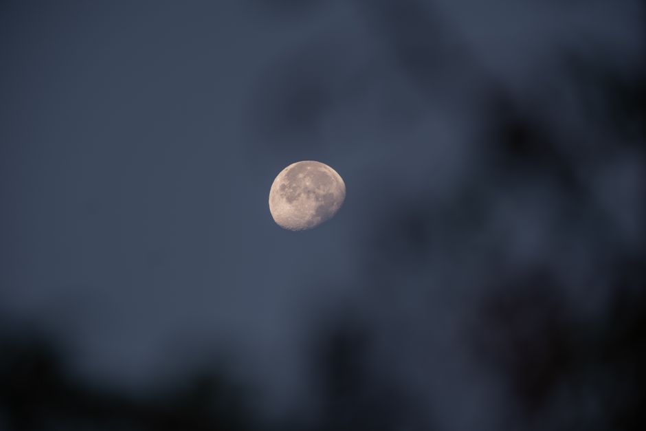 A serene photograph of the moon in a night sky with blurred surroundings, taken in İzmir, Turkey.