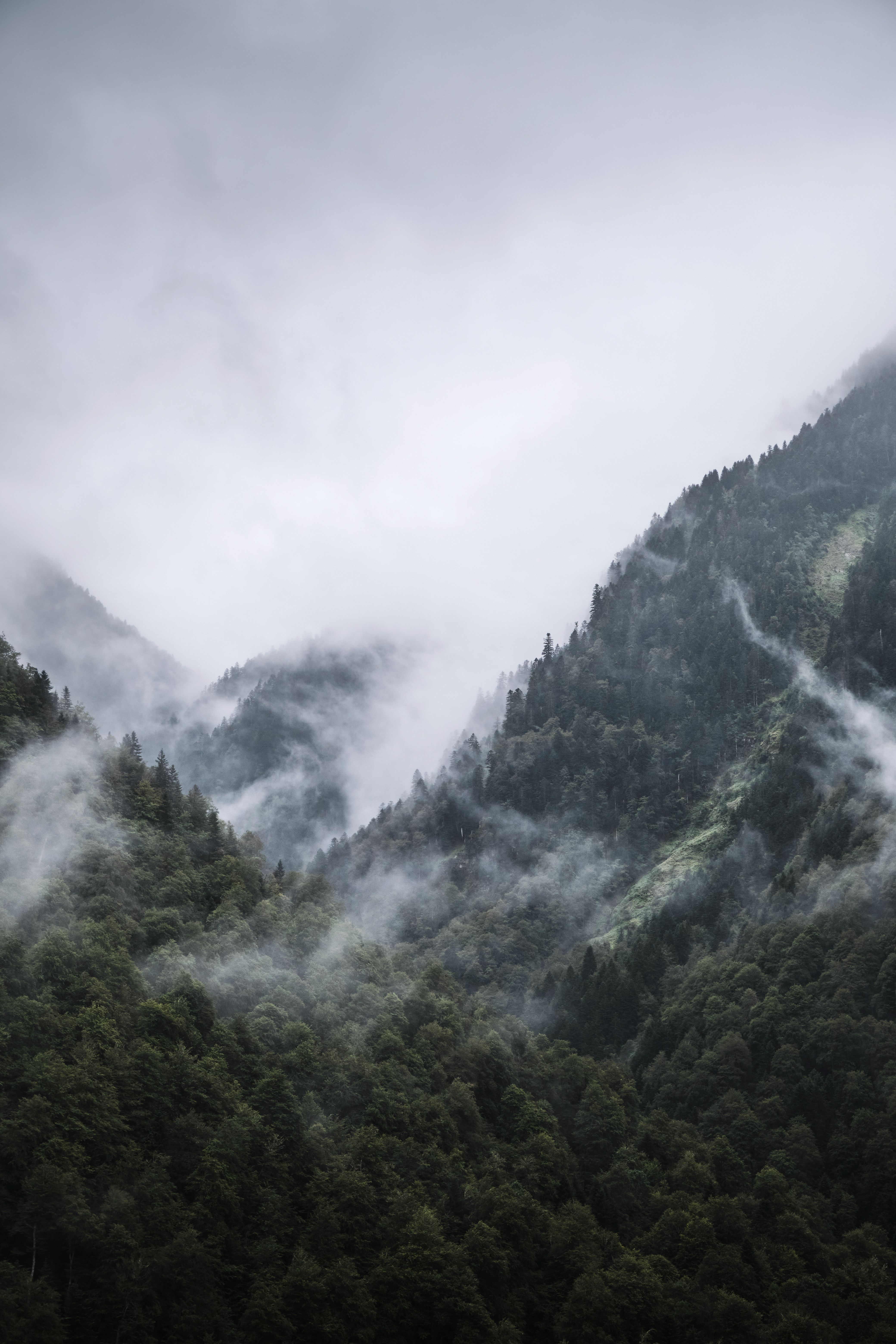 Capture of misty and foggy forested mountain valleys in the lush green French Pyrenees.