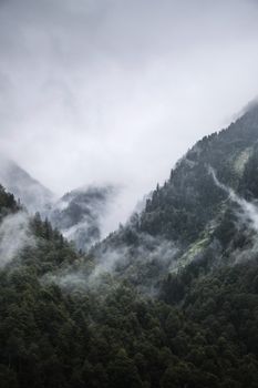 捕捉法国比利牛斯山脉郁郁葱葱的森林中雾气和薄雾弥漫的山谷。 - 相关推荐
