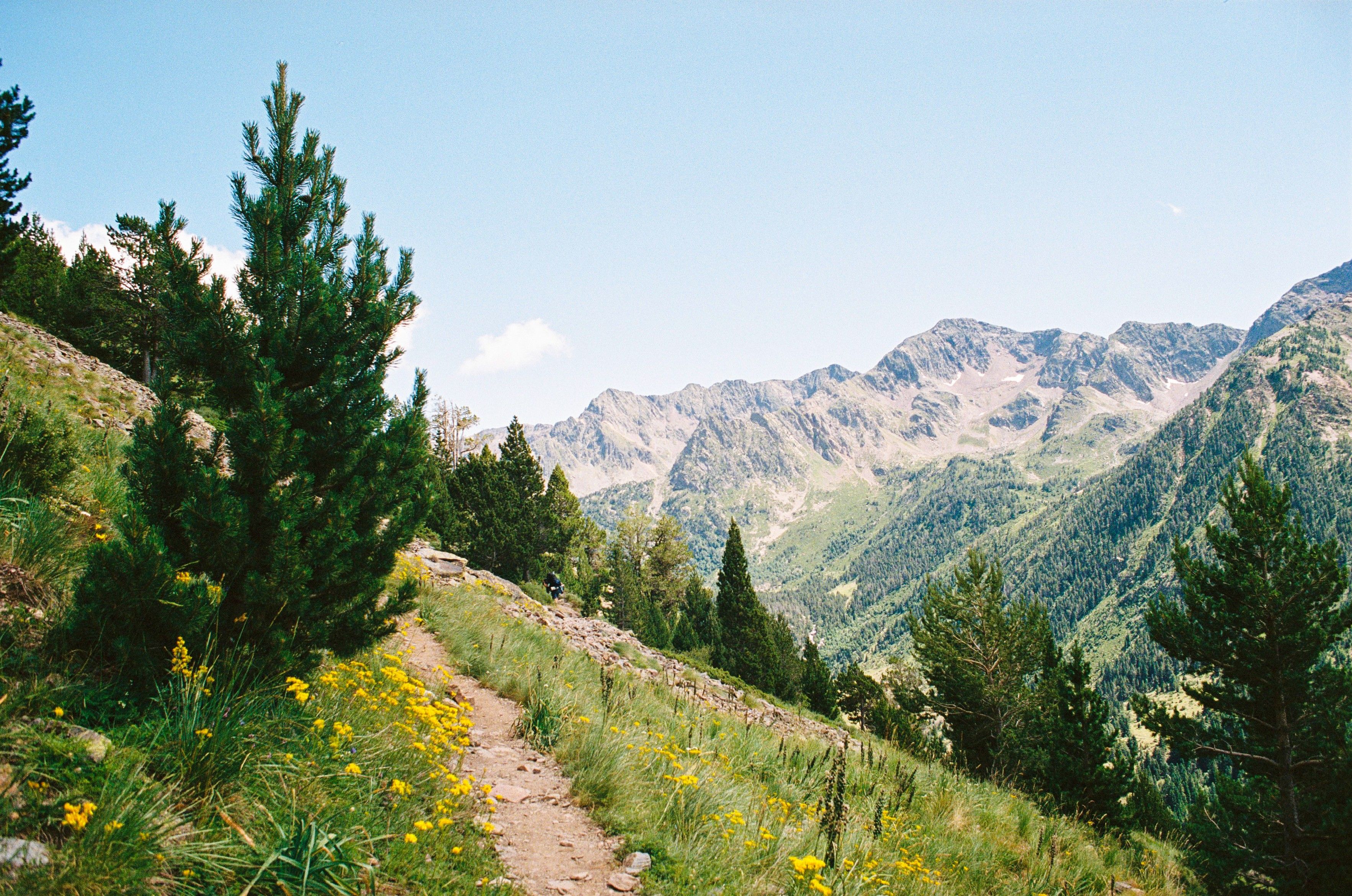 Explore the lush trails and stunning mountain views in the Pyrenees, Spain.