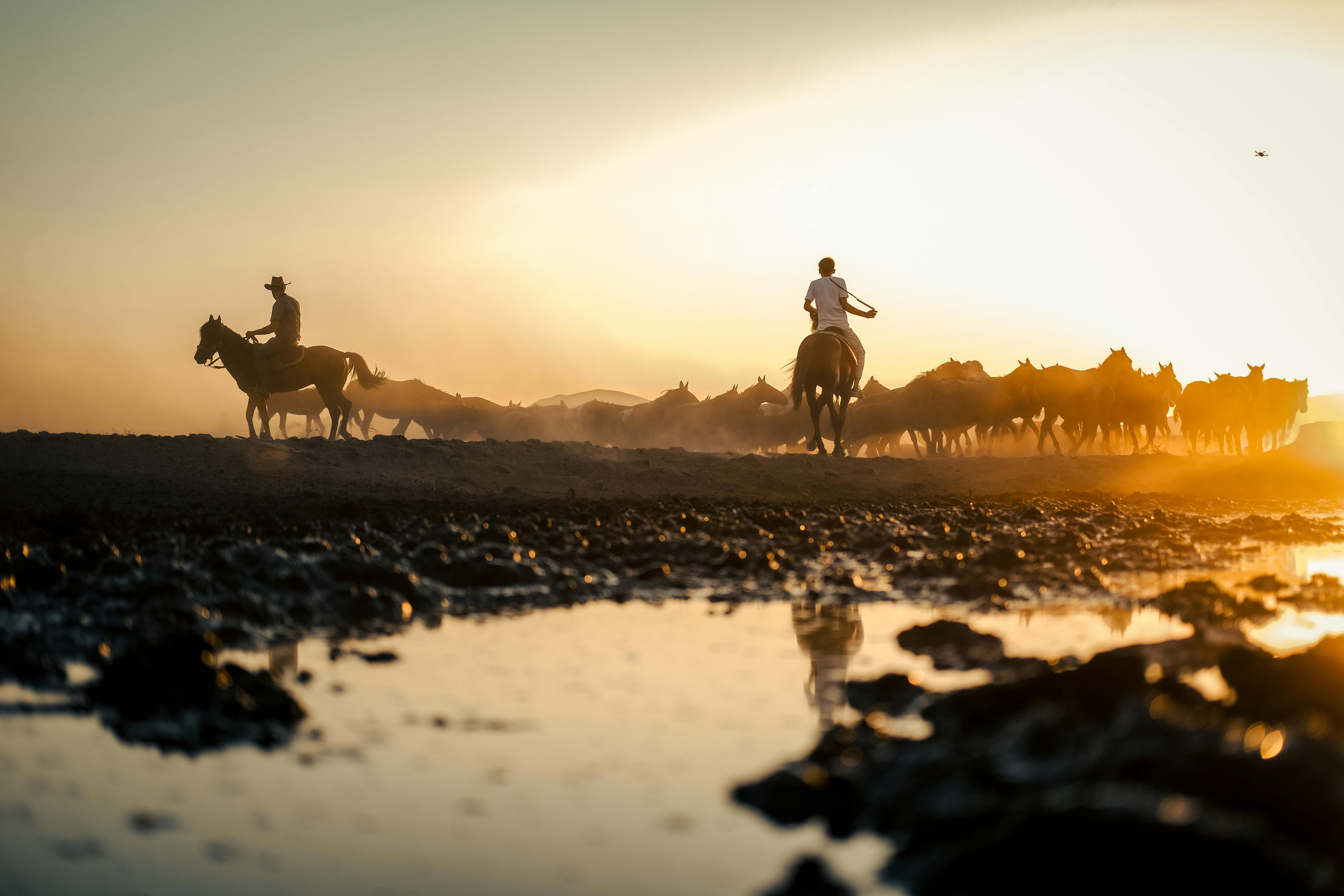 Türkiye’s population prefers Western lifestyle, survey shows — Photo by Zeynep Sude  Emek on Pexels