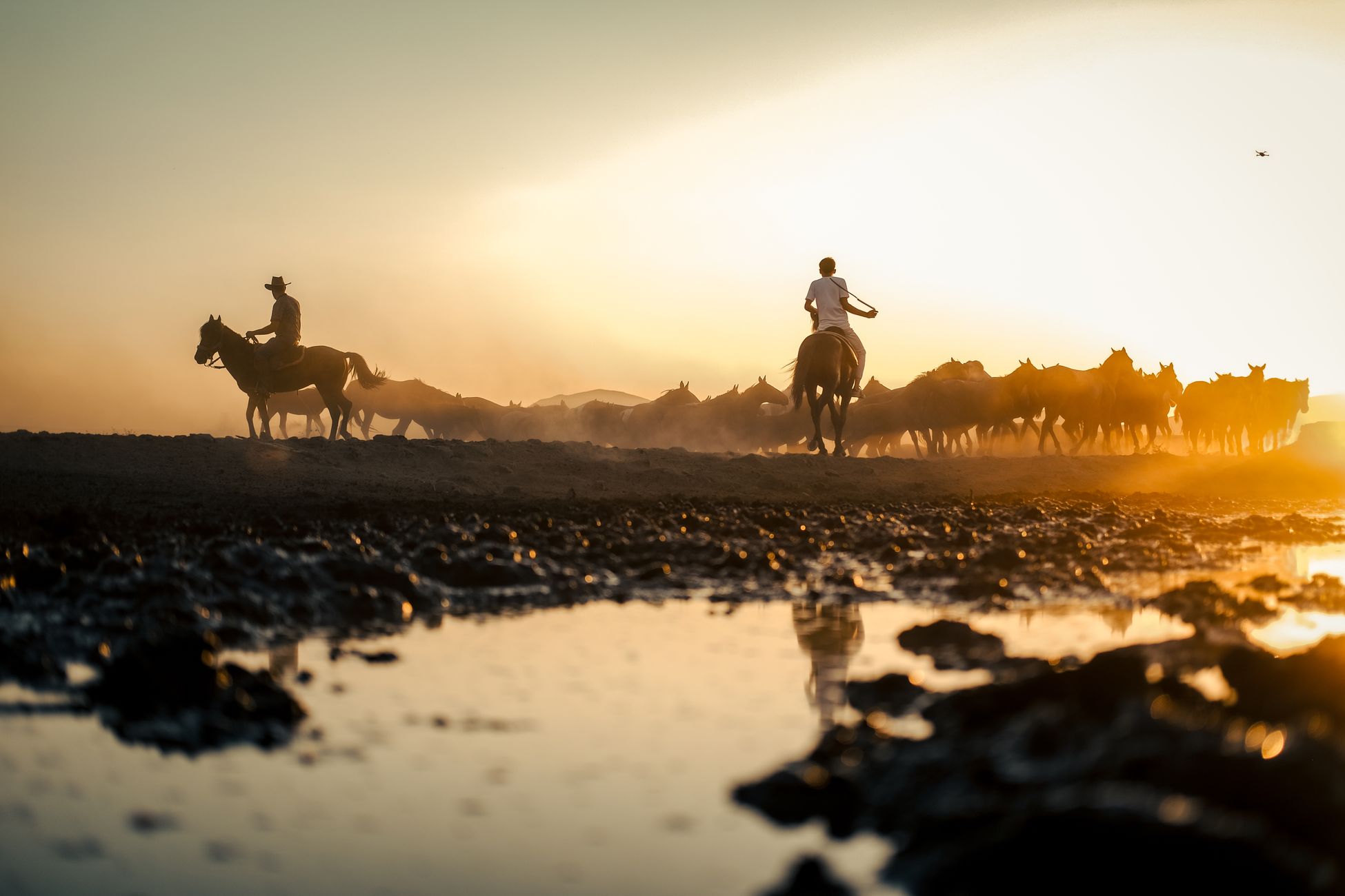 Zomerse kijktips: series over cowboys en het platteland