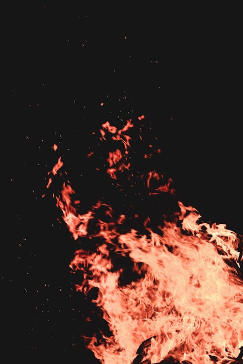 Free stock photo of black, blaze, campfire