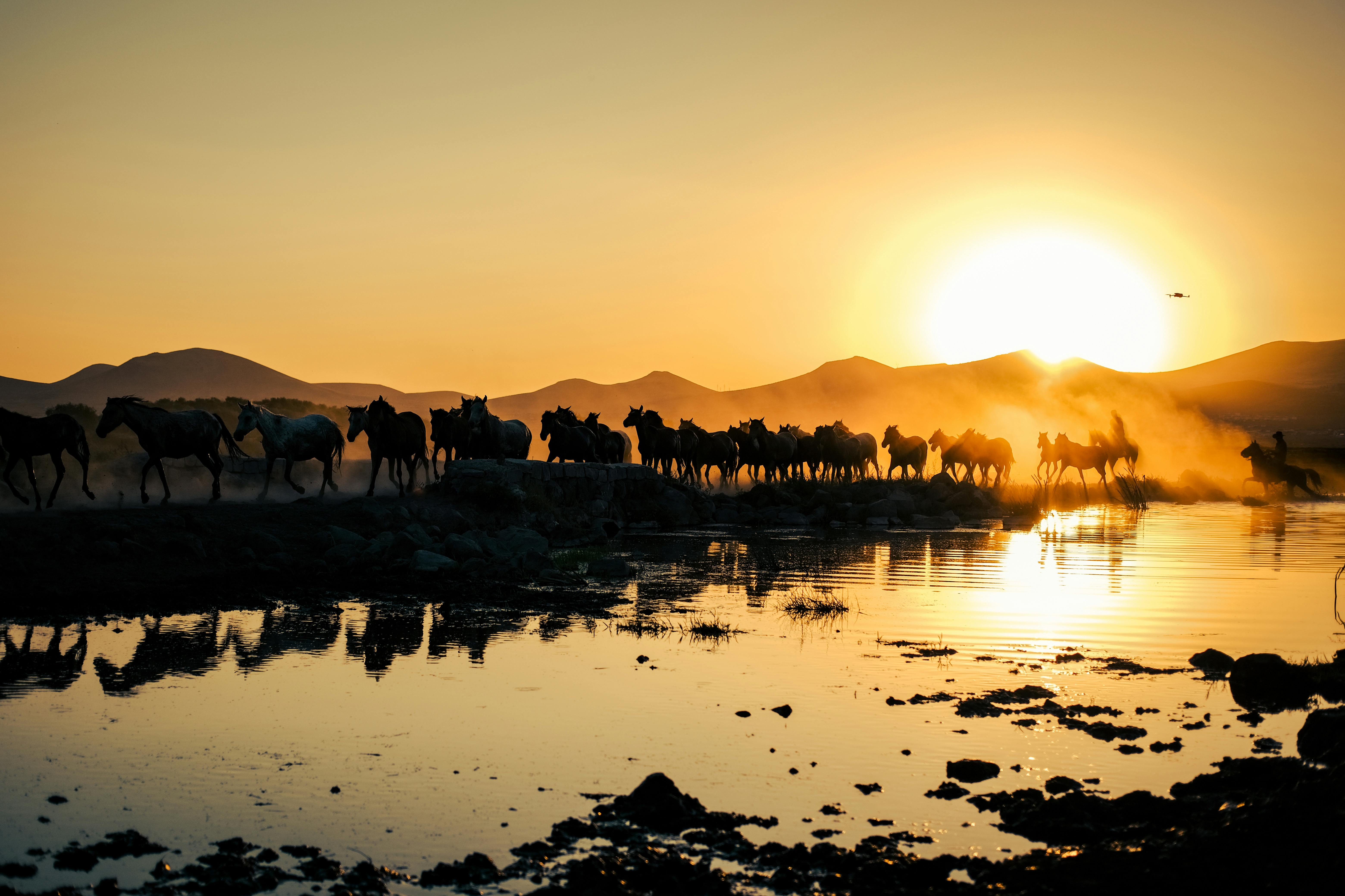 Türkiye’s population prefers Western lifestyle, survey shows — Photo by Zeynep Sude  Emek on Pexels