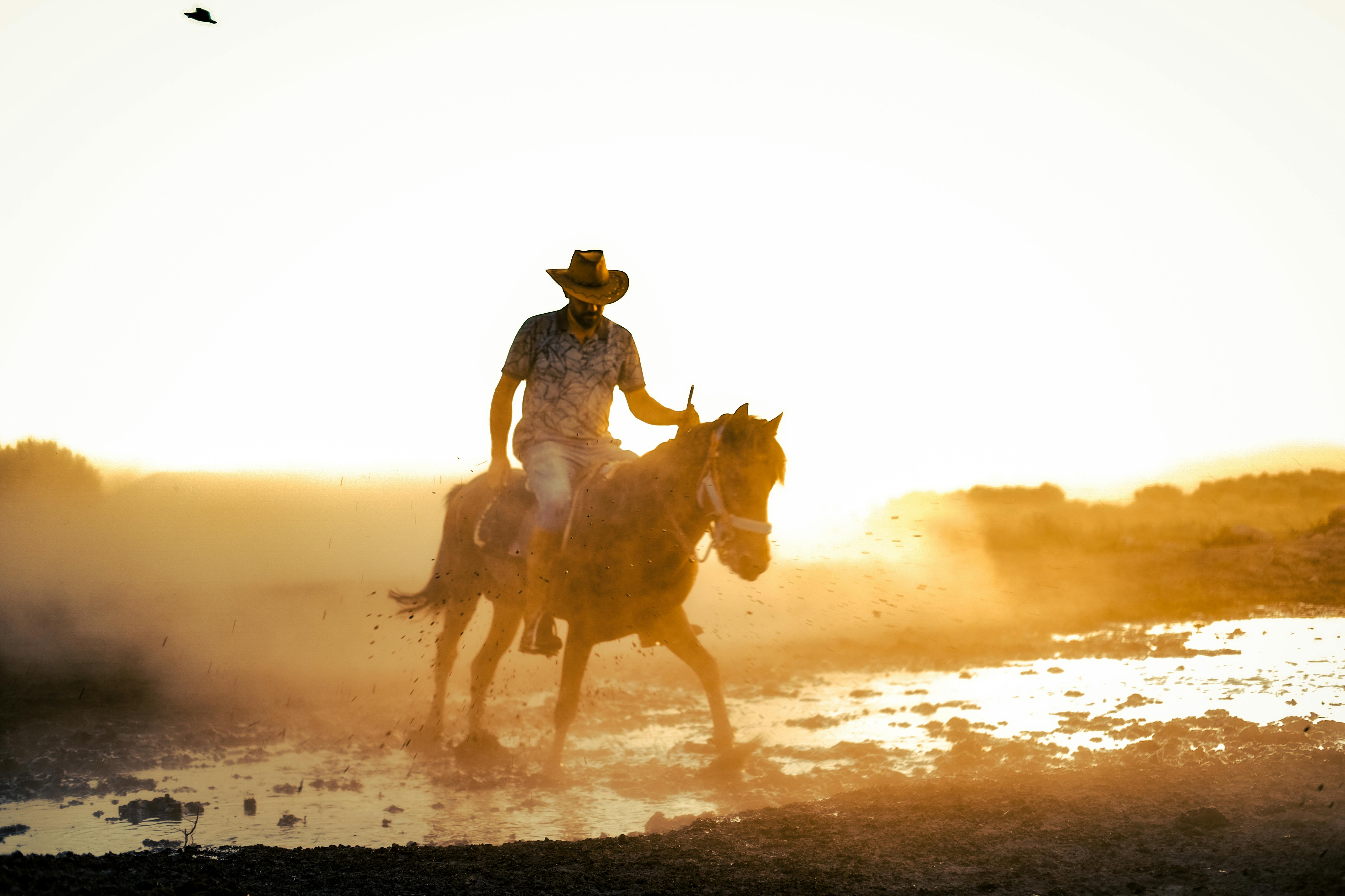 Türkiye’s population prefers Western lifestyle, survey shows — Photo by Zeynep Sude  Emek on Pexels