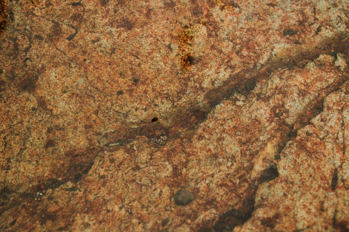 Modern organic farmhouse dining area with wooden table, rattan chairs, and neutral decor