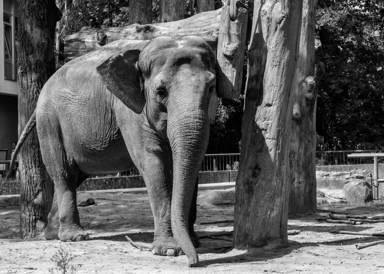 Hellabrunn was de eerste geo-dierentuin ter wereld