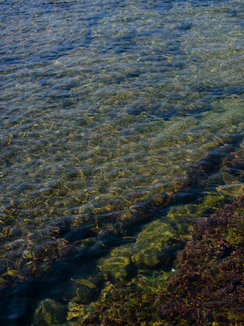 Free Pristine ocean water revealing rocky and mossy seabed by the shore. Stock Photo
