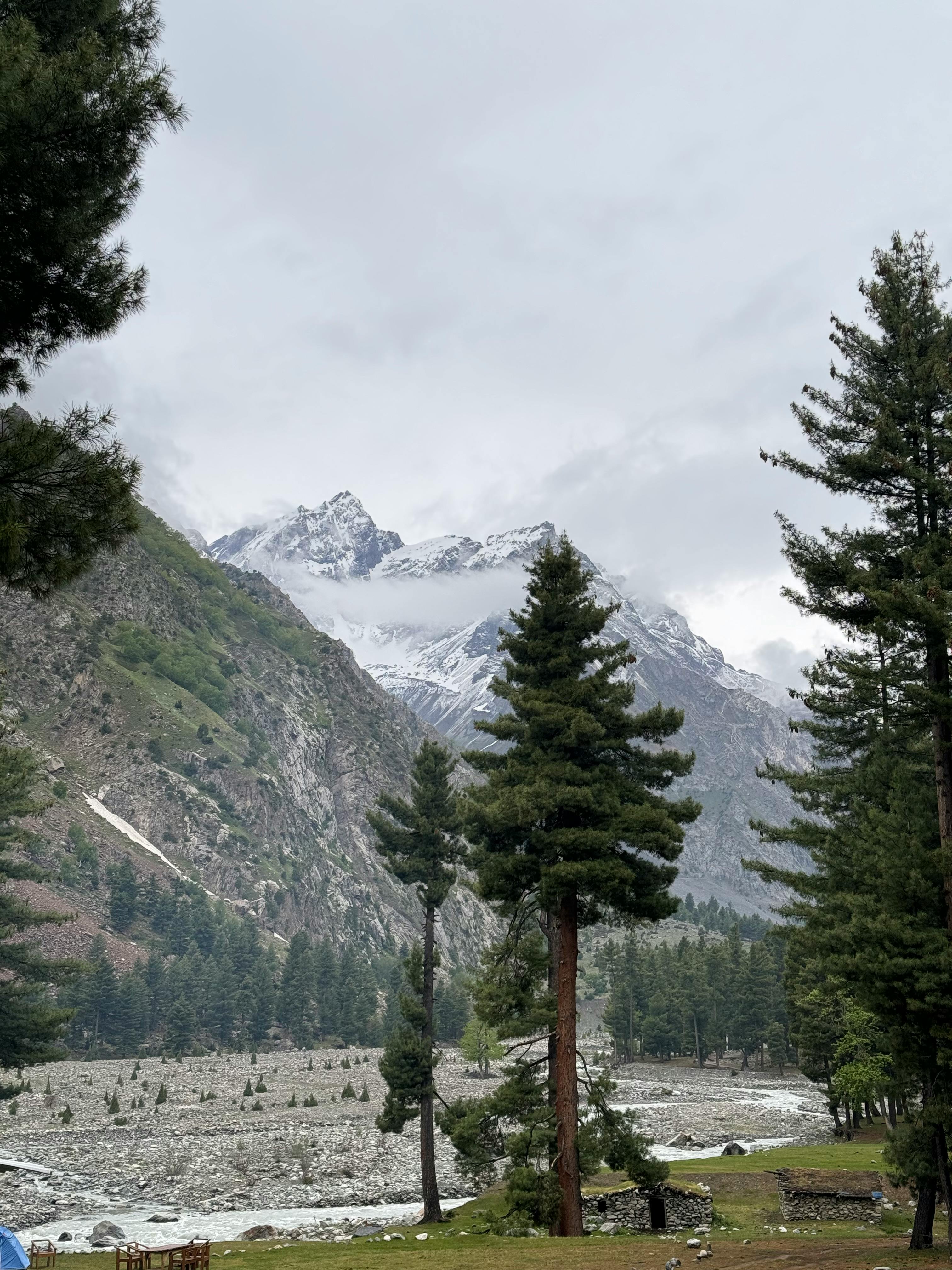 Naltar Valley