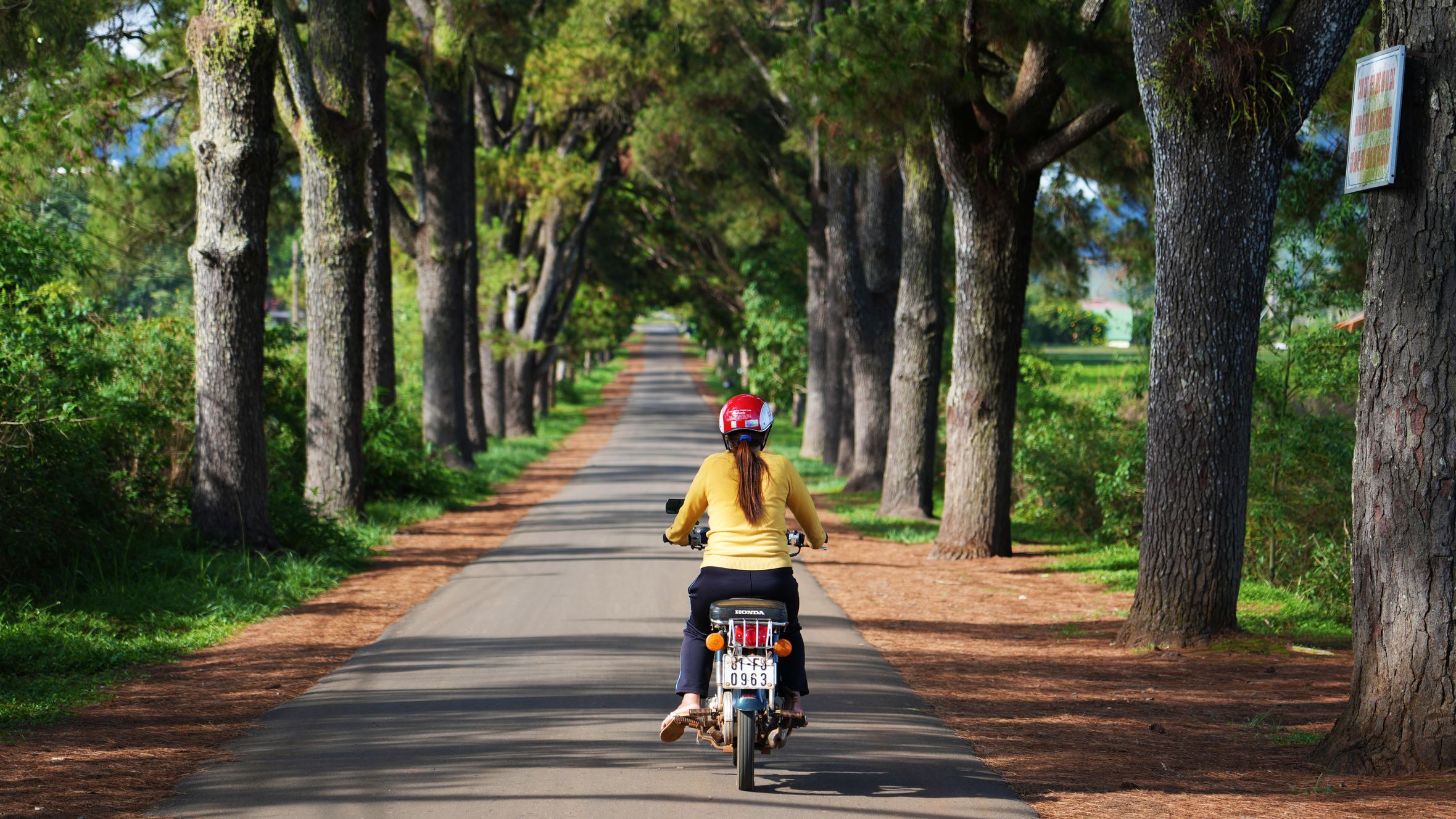 A woman rides a motorcycle through a scenic, tree-lined road in Pleiku, Vietnam.