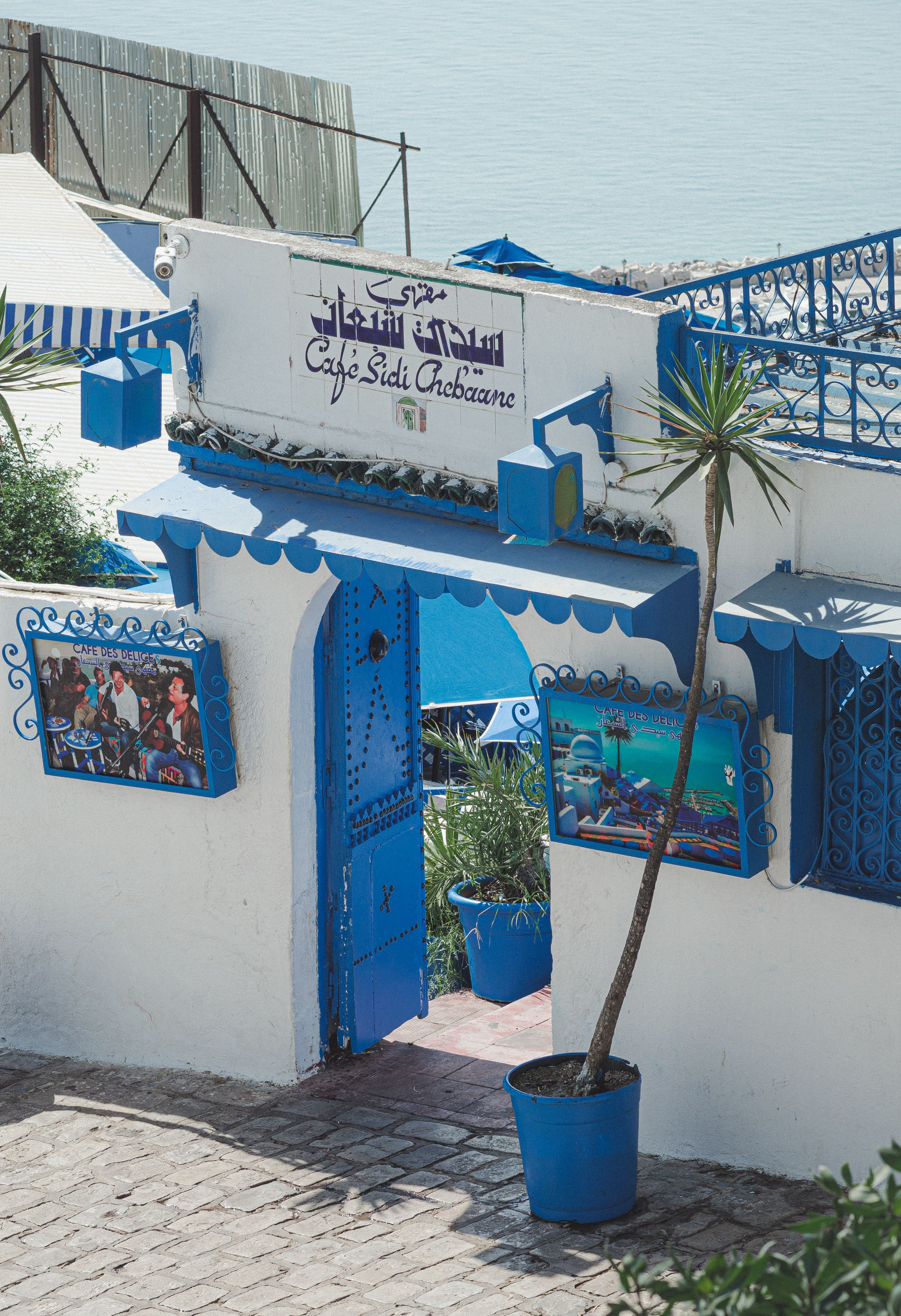 Explore the vibrant Cafe Sidi Chabaane in Sidi Bou Said, Tunisia with stunning Mediterranean charm.