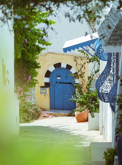 Free Discover the beauty of a traditional Tunisian alley featuring vibrant blue doors and lush greenery. Stock Photo