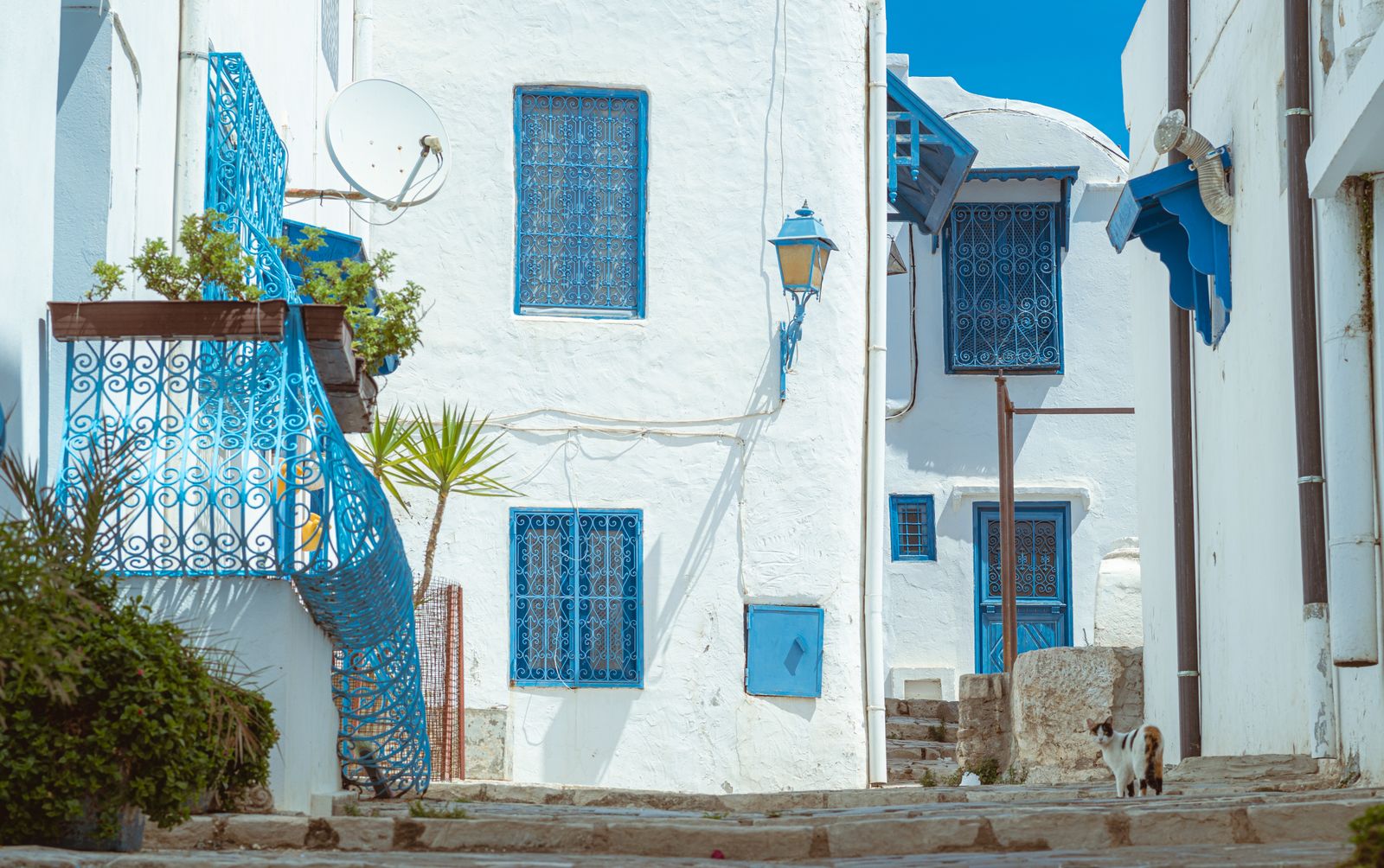 عمارة سيدي بوسعيد البيضاء والزرقاء في تونس