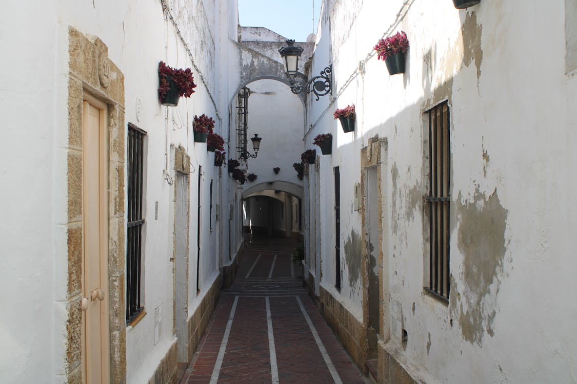 callejón de Croquer | fotografía 8