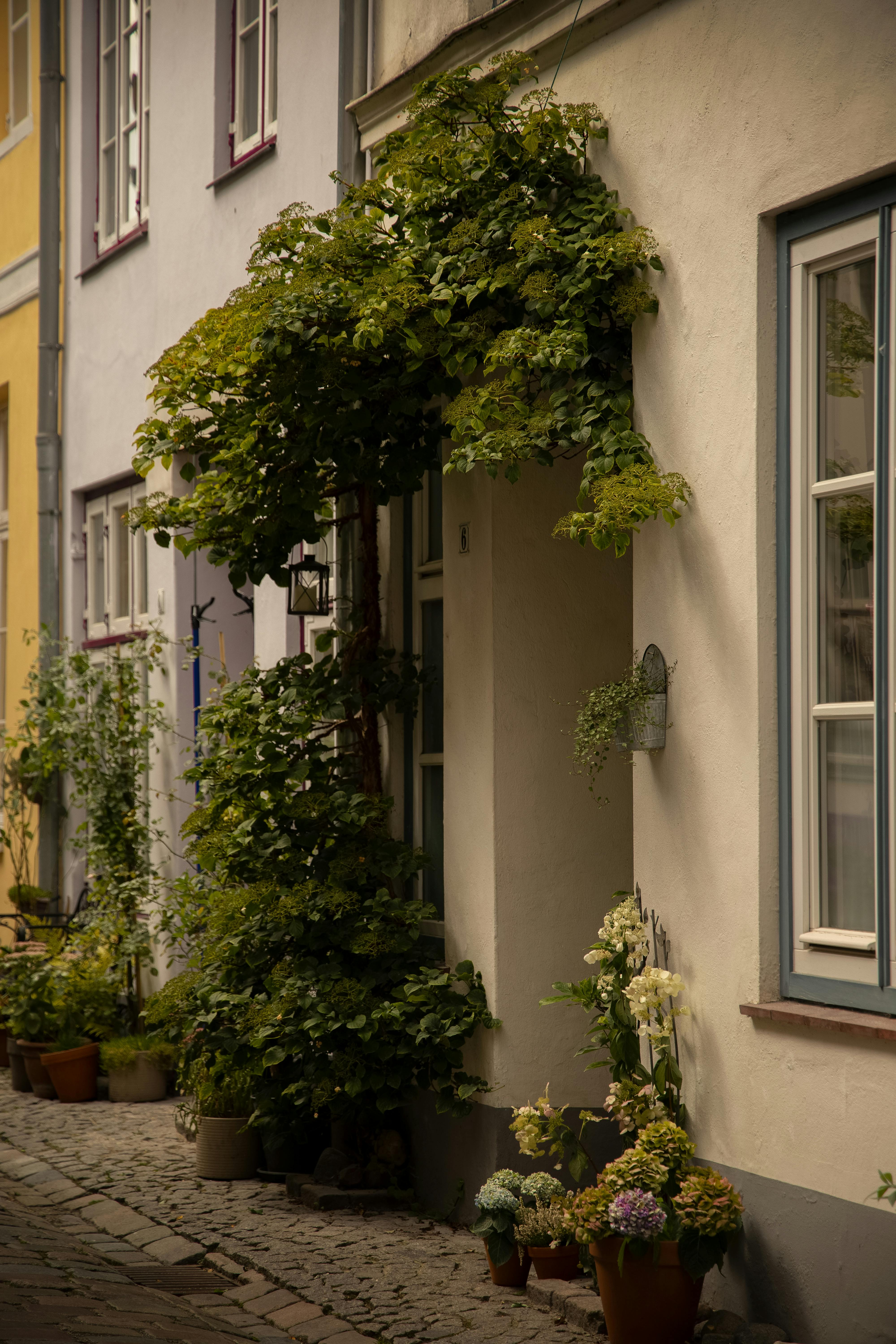 Charming Lübeck street scene with ivy-covered homes and potted plants, showcasing classic German architecture.