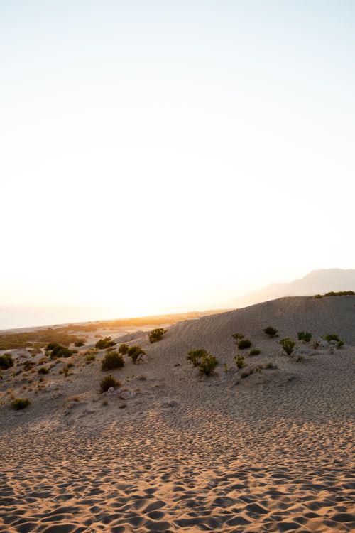 Free Peaceful desert sunset over sand dunes in Antalya, Türkiye with lush plant life. Stock Photo