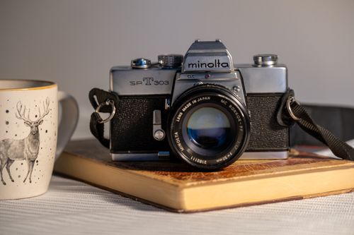 Free Vintage Minolta camera on a book beside a deer-themed coffee mug. Stock Photo