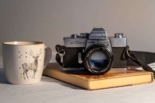 Free A vintage camera next to a deer-themed mug on a book in soft lighting. Stock Photo