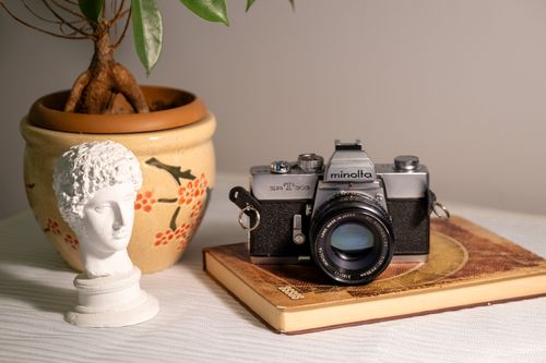 Free A vintage Minolta camera alongside a plant and classical bust on a book indoors. Stock Photo
