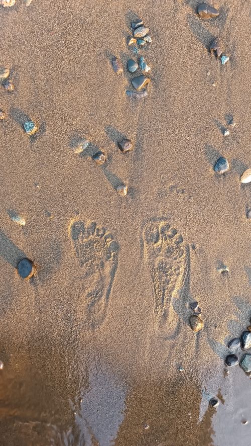 Free Close-up of footprints on a sandy beach with scattered pebbles, evoking a serene coastal vibe. Stock Photo