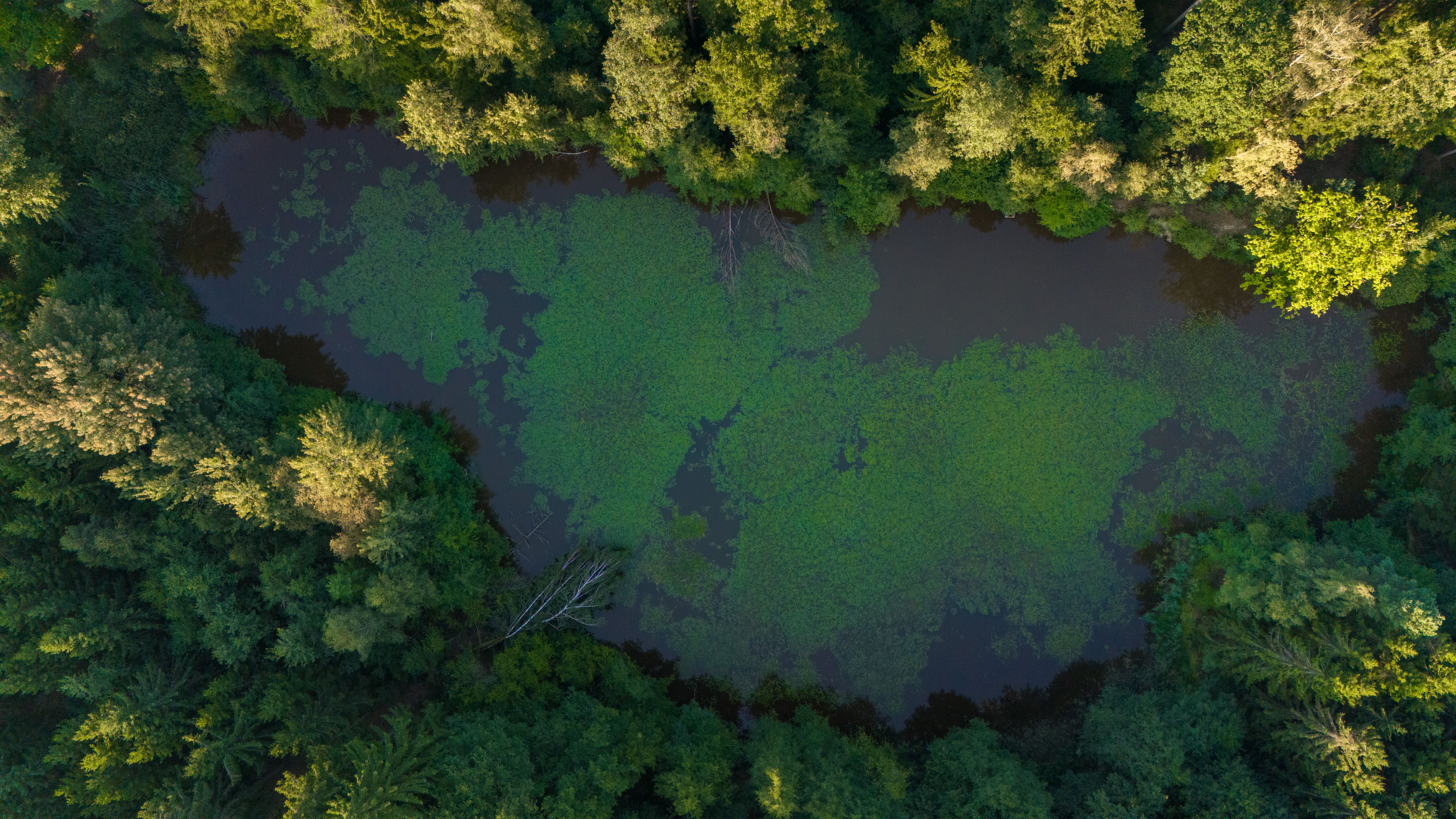 Aerial shot capturing a tranquil lake surrounded by a dense forest in Zbraslavice, Czech Republic.