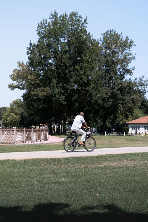 Free A man leisurely cycles through a sunny park in Sakarya, surrounded by lush greenery and summer vibes. Stock Photo