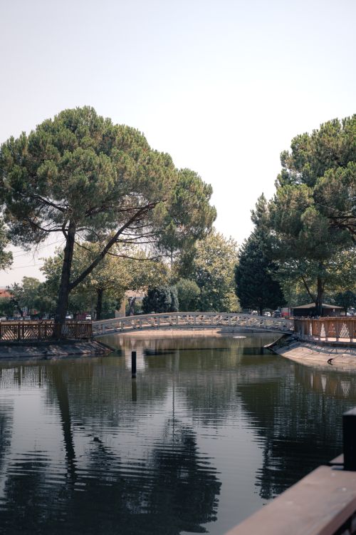 Free A tranquil park scene featuring a bridge over calm water with lush greenery in Sakarya, Türkiye. Stock Photo