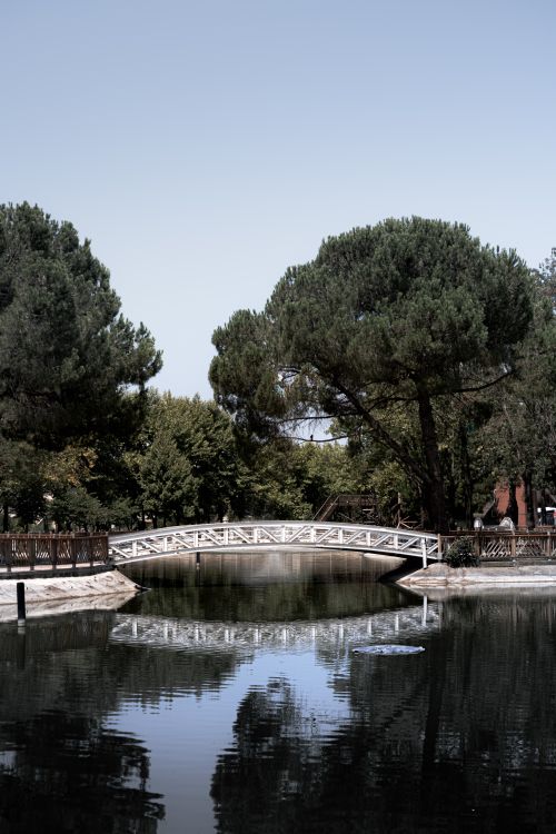 Free A serene park scene capturing a white bridge over a reflective pond surrounded by lush greenery in Sakarya, Türkiye. Stock Photo