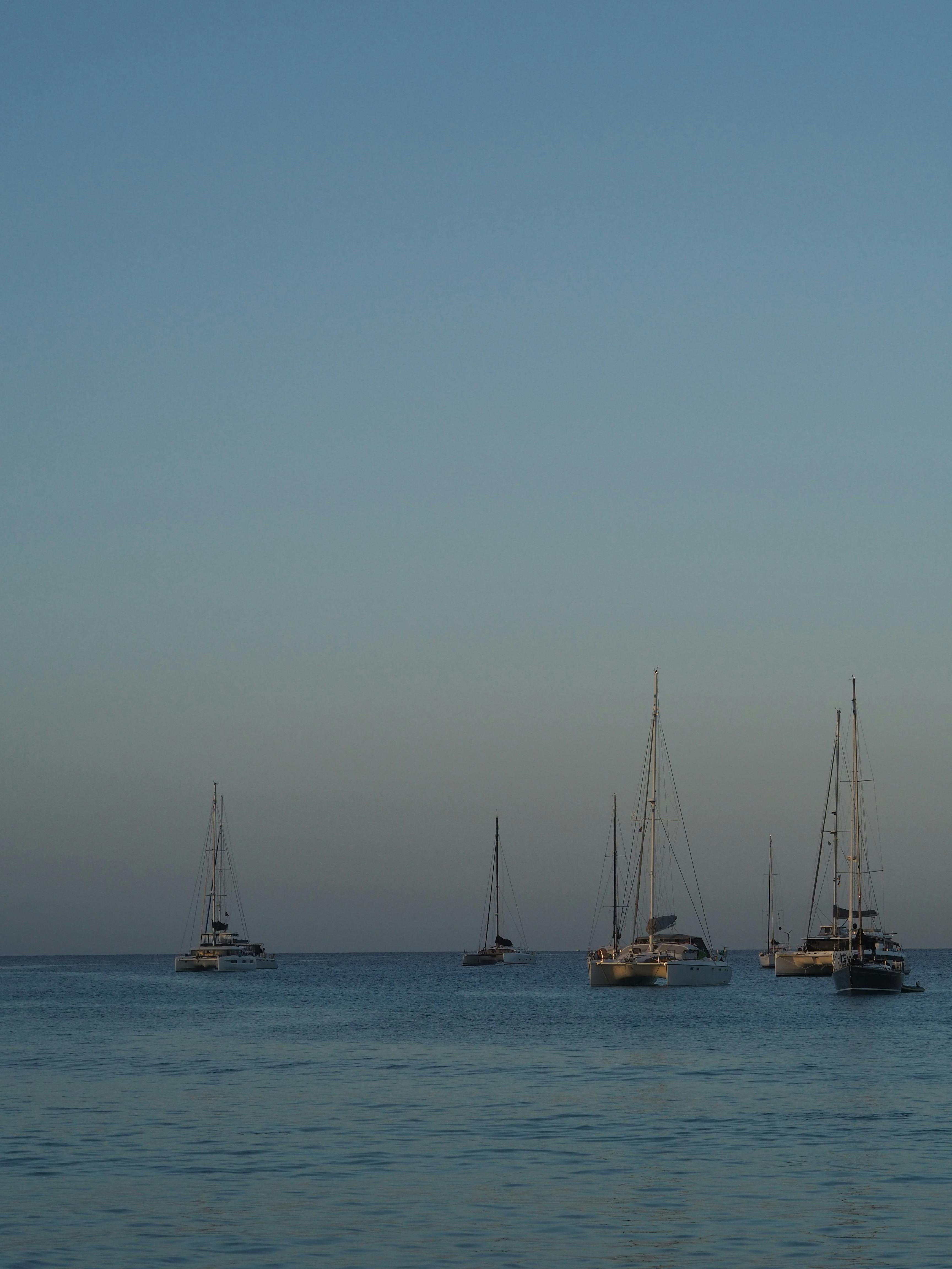 sail boats at sunrise