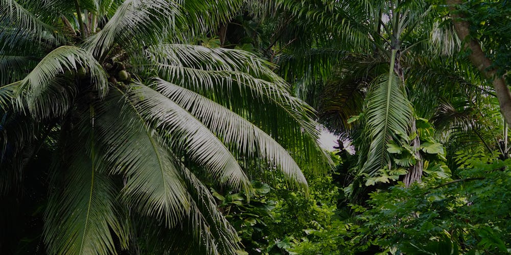 Discover the Enchantment of Barbados - Your Ultimate Travel Guide at https//www.thetravelmagazine.net/barbados/