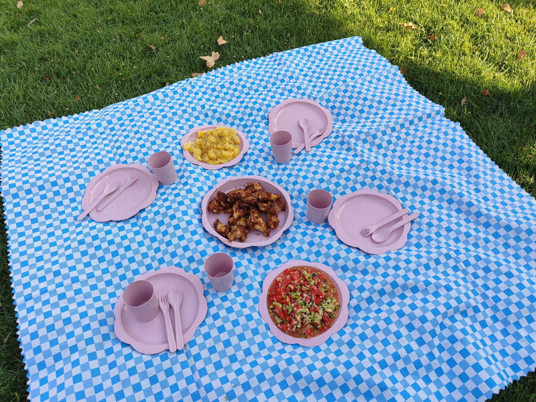 apple dinner plate