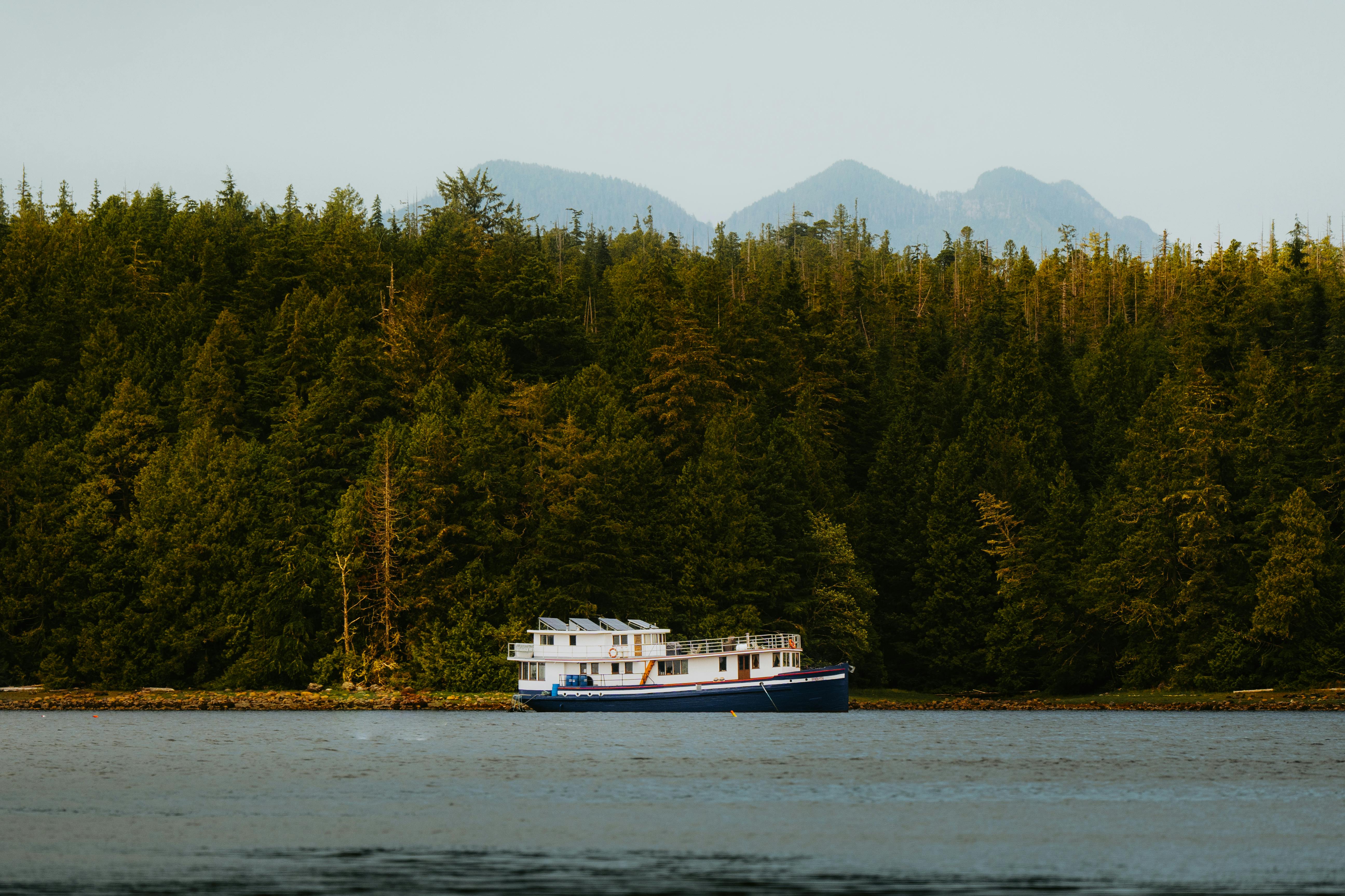 A tranquil scene of a boat cruising on a lake surrounded by lush forest and distant mountains.