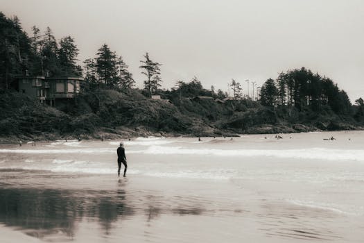 A lone surfer stands against the waves at a rocky beach, surrounded by lush forest and scattered wave riders.