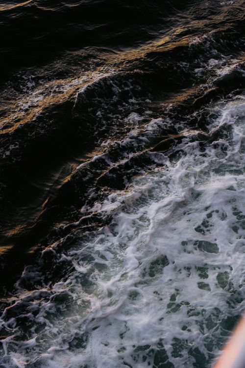 Free Captured the dynamic motion and texture of ocean waves meeting the shore with frothy white foam. Stock Photo