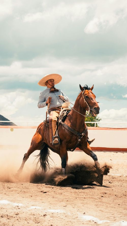 Free Dynamic shot of a Mexican charro skillfully riding a horse, stirring up dust in Pachuca, Mexico. Stock Photo