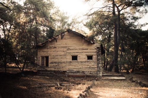 Free A weathered, rustic cabin stands alone in a quiet forest, evoking nostalgia. Stock Photo