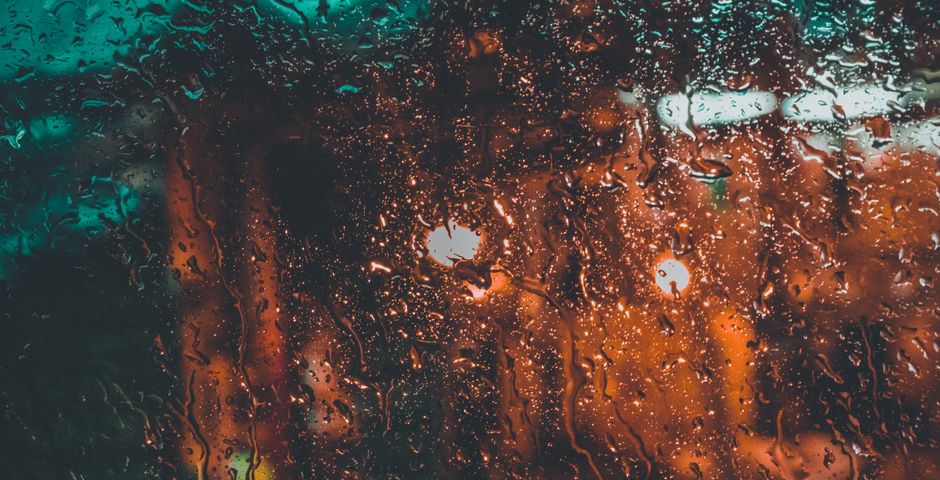 Rain on a window at night — swarms are heaviest in the warm evenings after heavy rain