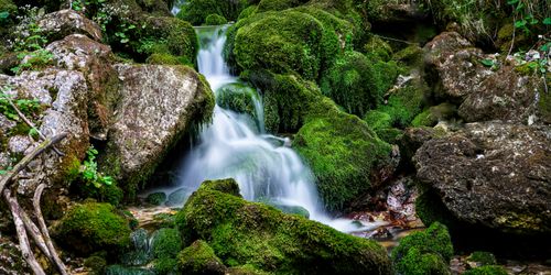Free A tranquil waterfall flows over mossy rocks surrounded by lush green forest, capturing nature's beauty. Stock Photo