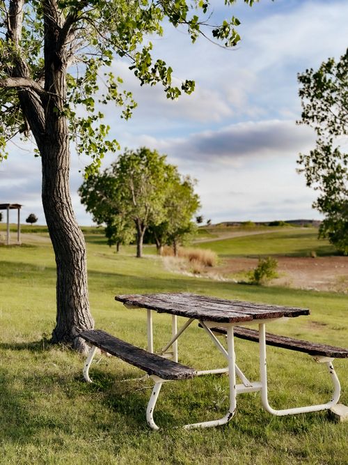 Free Rustic picnic table under a tree in a sunny rural park scene, ideal for relaxation. Stock Photo