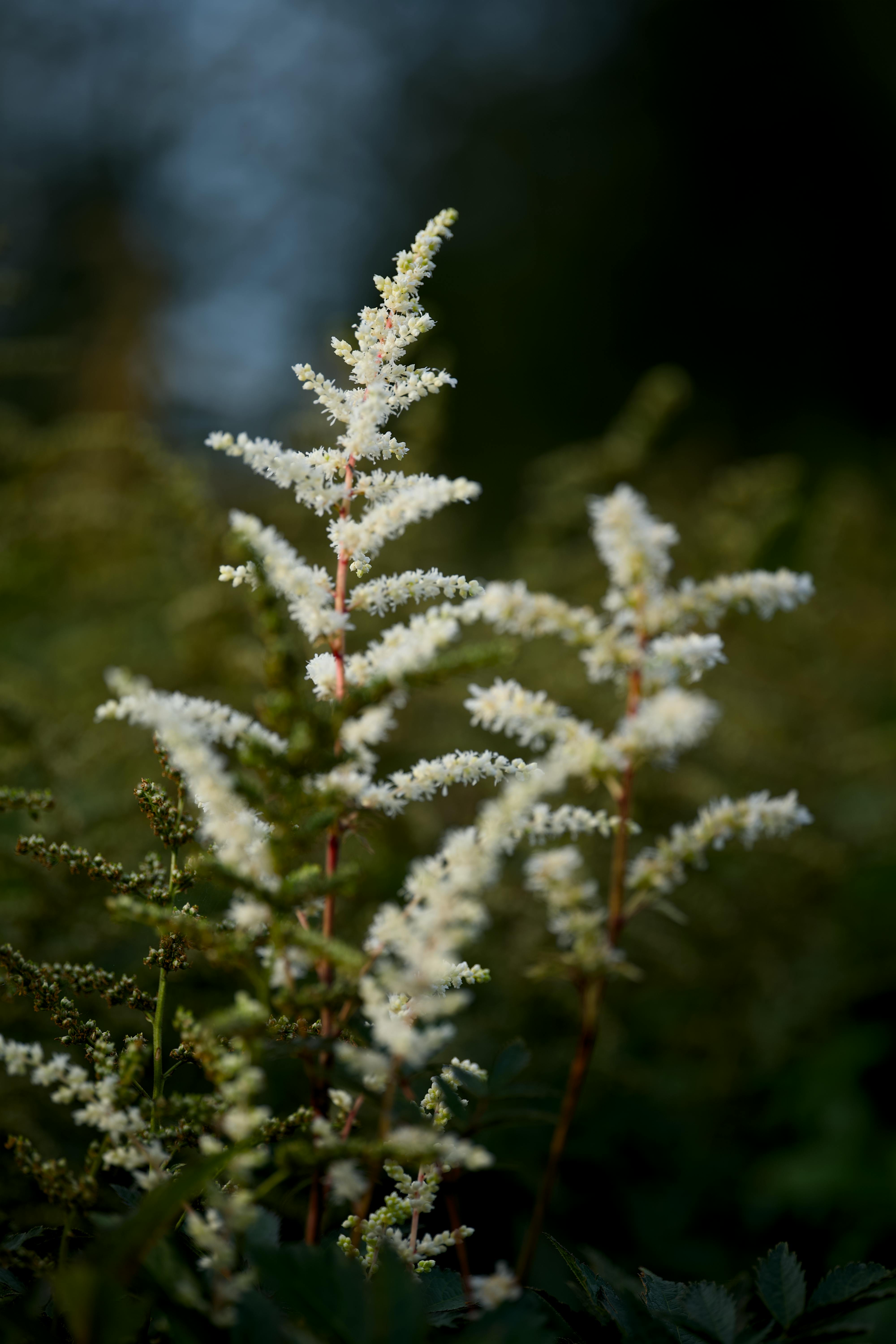 Популярные вопросы и ответы