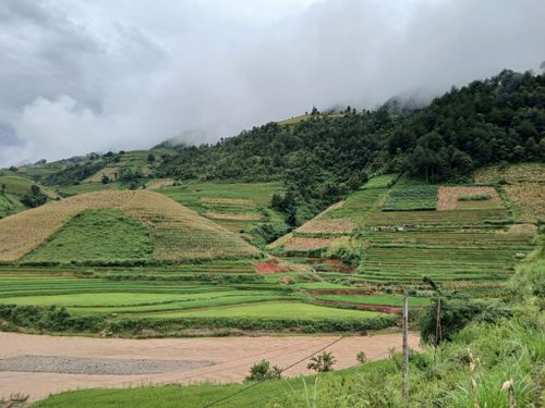 Free A scenic view of lush green terraced fields nestled in a misty mountain valley, perfect for travel and nature enthusiasts. Stock Photo