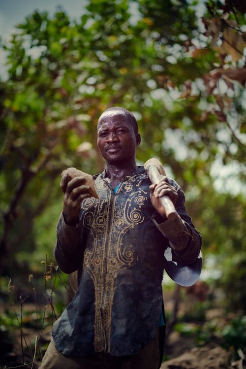 Free Farmer Stock Photo
