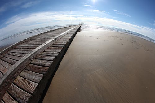 Fish-eye View of Gray Dock