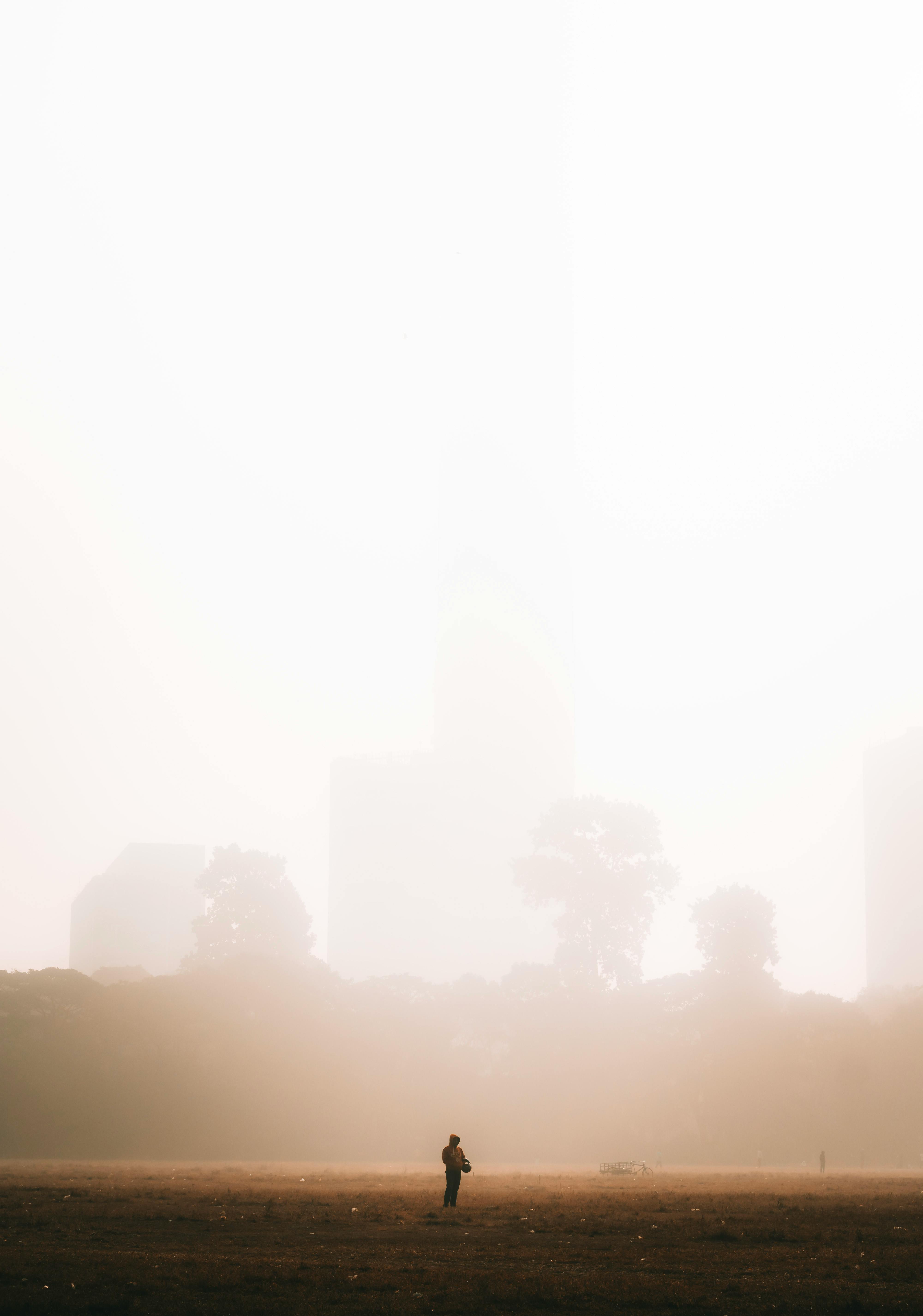 Gratis Immagine gratuita di alba, alberi, ambiance Foto a disposizione