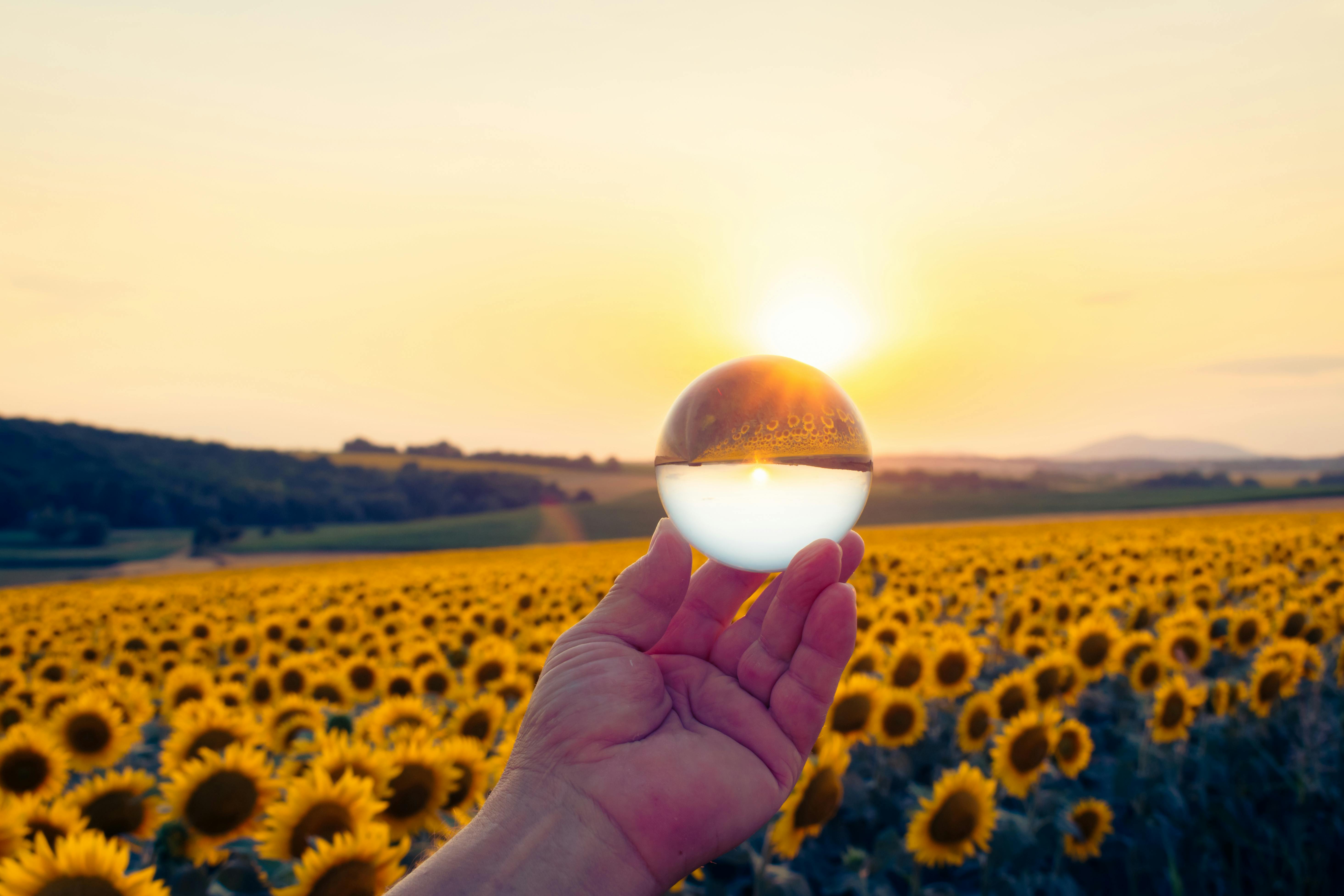 USDA Launches Lender Lens Dashboard to Promote Data Transparency — Photo by Nikolett Emmert on Pexels